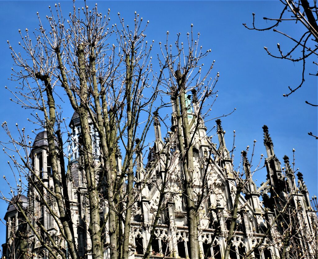 Kastanjes bij de Sint Jan in Den Bosch