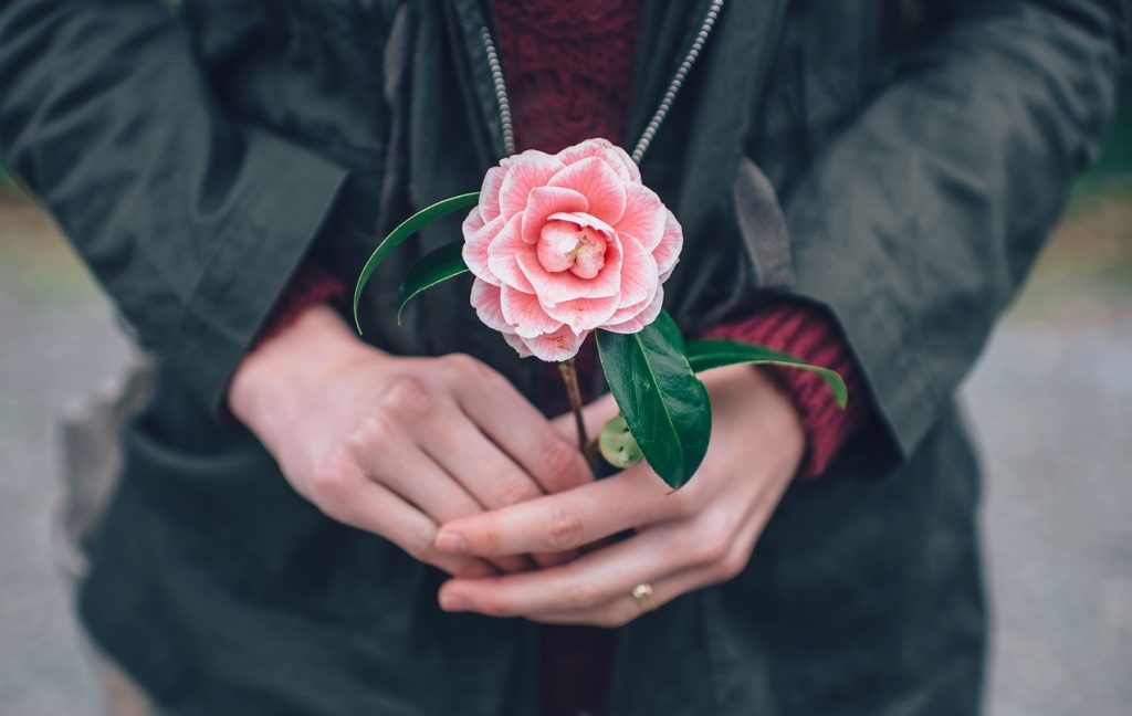 handen met bloem