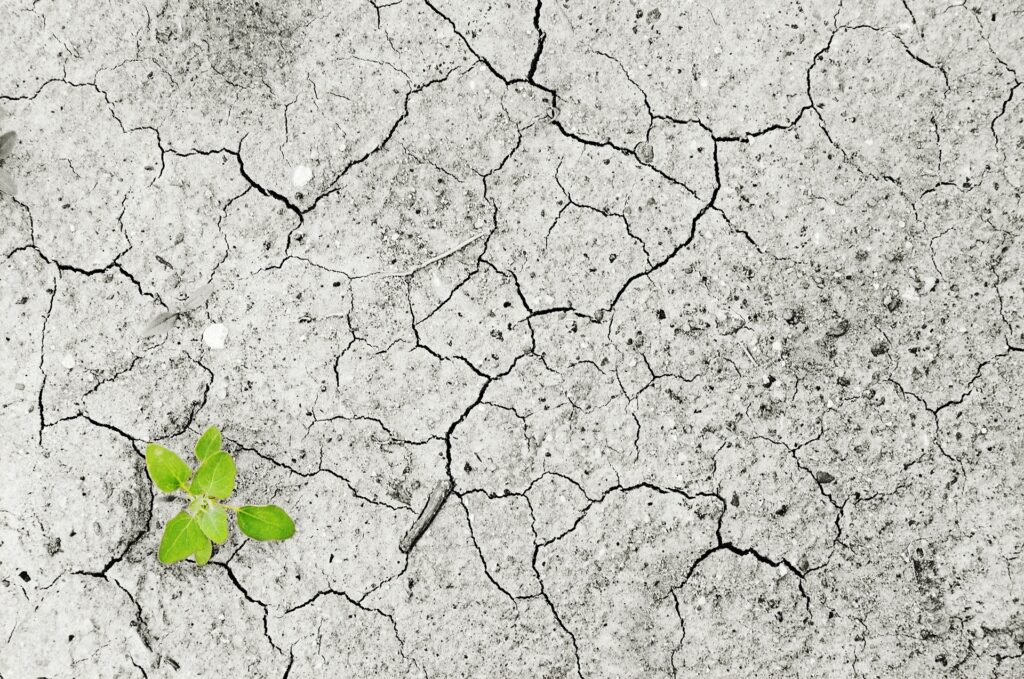 Online gebedsbijeenkomst voor het klimaat