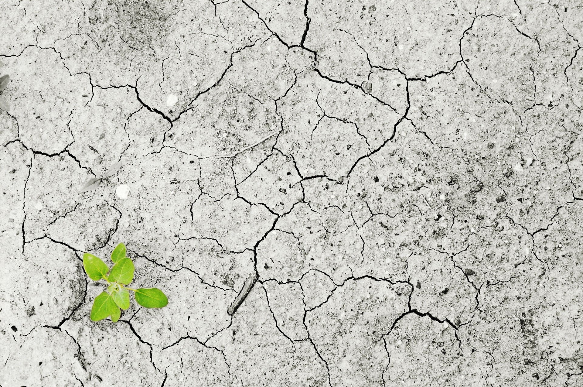 Online gebedsbijeenkomst voor het klimaat
