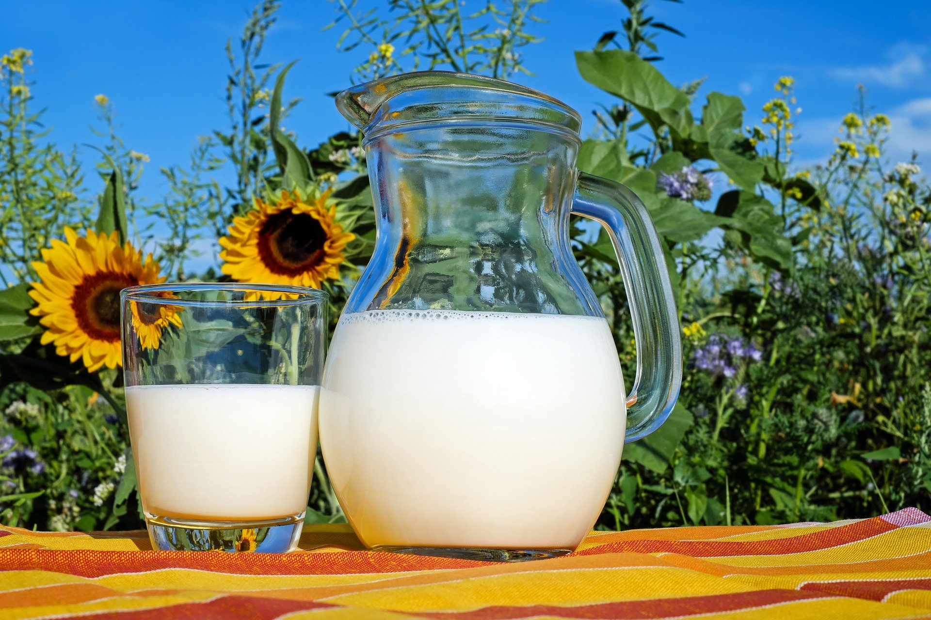 Yoghurt-jankerds