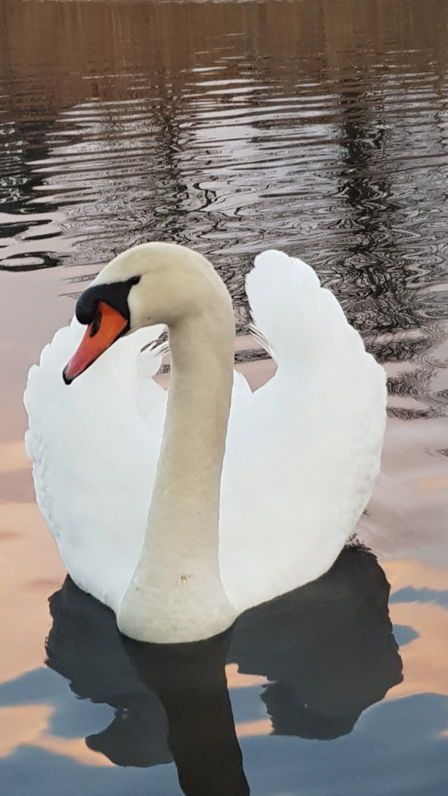 Tentoonstellingen in het Raadhuis van Hilversum